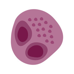 Cytomegalovirus