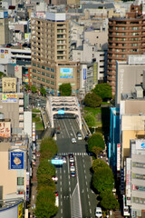 Fototapeta premium 盛岡の街並み・マリオスからの眺望（岩手県・盛岡市）