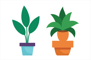 Indoor Tropical Plant Palm Tree in Pot Vector Elegant Greenery Illustrations for Modern Designs