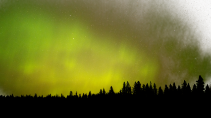 Panorama of green aurora northern lights and many stars over a northern forest 
