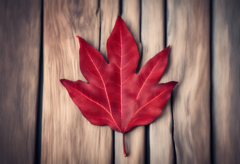 texture teak leaf background red pattern surface detail design style closeup macro colours light shadow sunny art line under dark black autumn effect fall plant organic vein tree season foliage grow