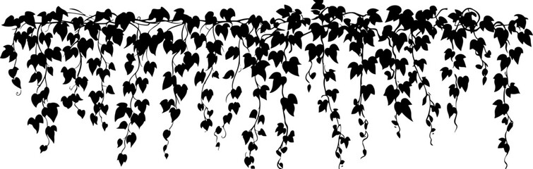 Hanging ivy vine silhouette border © safri