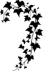Hanging ivy vine silhouette border