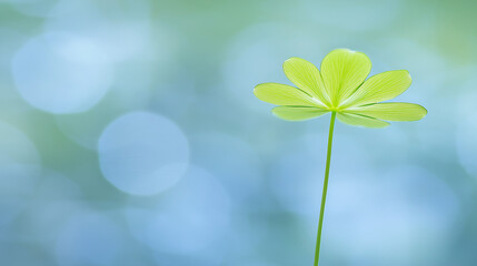 green leaves in spring