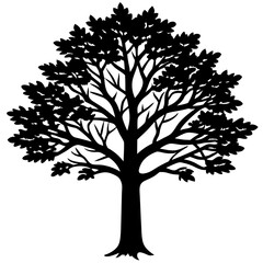 Obraz premium silhouette of tree