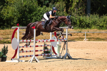 Horses Jumping horse with rider in a jumping competition, in the course.