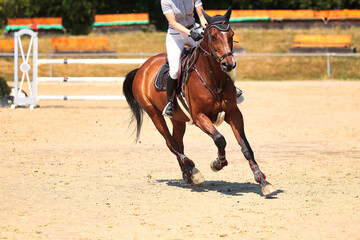 Horses Jumping horse with rider in a jumping competition, in the course.