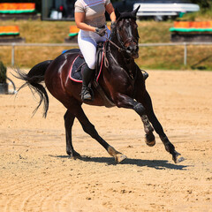 Horses Jumping horse with rider in a jumping competition, in the course.
