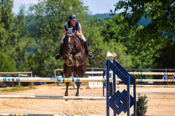 Horses Jumping horse with rider in a jumping competition, in the course.