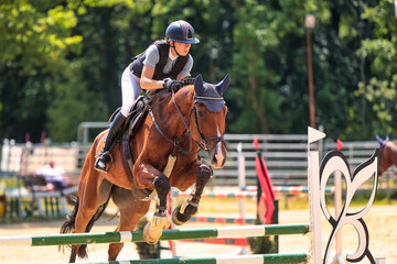 Horses Jumping horse with rider in a jumping competition, in the course.