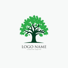 Oak tree logo, green tree, eco, forest, trees, root, organic, leaf, nature, green logo template