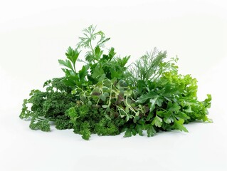 A creative presentation of green herbs including parsley and chervil