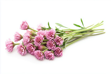 Fototapeta premium Bunch of flower isolated on white background, Selective focus bouquet in valentine on white background.