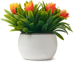 artificial arrangement of potted plant of bright orange tulip shaped flowers and long green leaves isolated white background