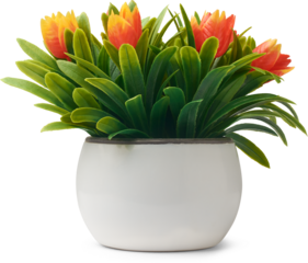 artificial arrangement of potted plant of bright orange tulip shaped flowers and long green leaves isolated white background