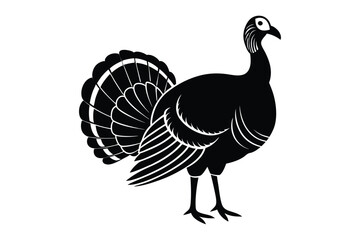 Fototapeta premium a turkey silhouette vector illustration
