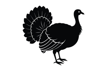 Fototapeta premium vector illustration of a turkey