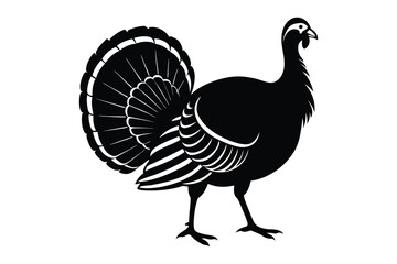 vector illustration of a turkey