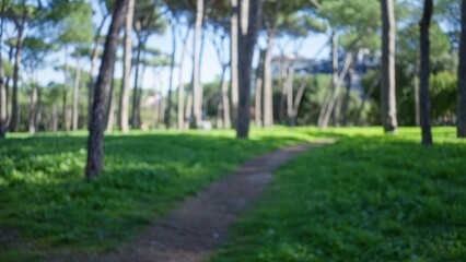Blurred view of lush green gardens with tall trees in the background at villa borghese, rome, capturing the serene outdoors with a defocused path and vibrant foliage.