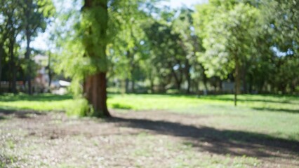 Blurred view of trees and grass in villa borghese gardens in rome, showcasing a defocused, sunny, natural outdoor scene with vibrant green foliage in italy.