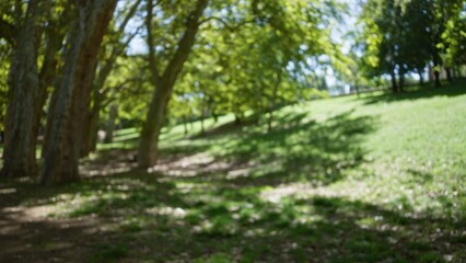 Blurred scenery in villa borghese, rome, with defocused greenery and bokeh effect captures serene outdoor ambiance under tree canopies.