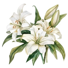 Obraz premium beautiful bouquet of white lilies with green leaves, symbolizing purity and elegance. Perfect for floral arrangements and decorations