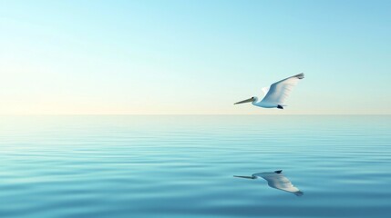 Pelican Soaring Above Calm Waters in Serene Landscape Scene