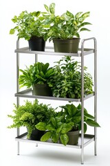 Fototapeta premium Elegant Plant Stand Displaying Lush Greenery with Vibrant Houseplants in Modern Pots, Ideal for Indoor Living Spaces and Decoration