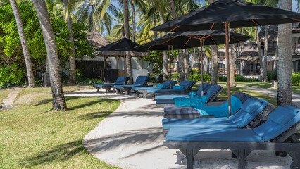 A row of deck chairs with mattresses in the shade of umbrellas. Green grass on the lawn, palm...