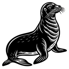  Sea lion isolated over white vector art illustration