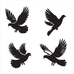 Vector silhouette pigeon flying