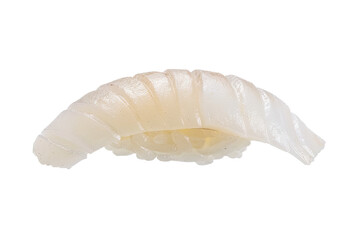 Naklejka premium piece of nigiri sushi floating isolated background