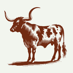 Texas Longhorns cattle vector