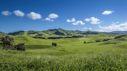 Obraz premium Serene Green Valley Landscape Under a Blue Sky