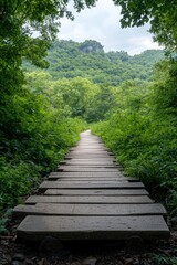 Fototapeta premium Wooden boardwalk trail through lush green forest.