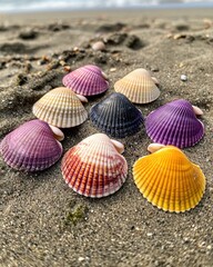 Colorful seashells scattered on sandy beach, showcasing a variety of hues and textures, creating a natural and serene coastal aesthetic.