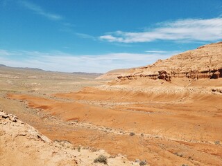 beautiful landscape of the desert in spring
