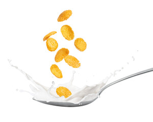 Corn flakes with milk splash in spoon isolated