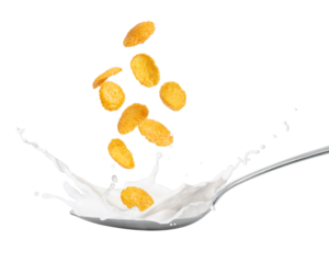 Corn flakes with milk splash in spoon isolated