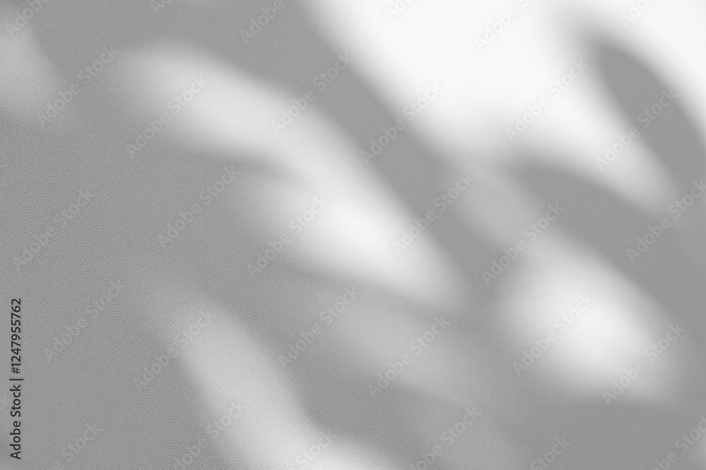 Aufkleber Wall interior background, studio and backdrops show products.with shadow from window color white and grey. background for text insertion and presentation product	