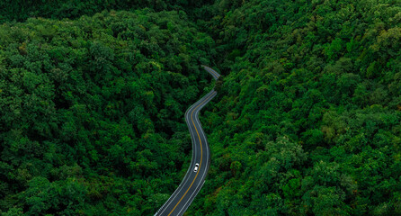 Aerial view of dark green forest road and white electric car Natural landscape and elevated roads Adventure travel and transportation and environmental protection concept	
