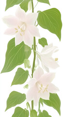 Obraz premium White flowers and green leaves create seamless floral pattern