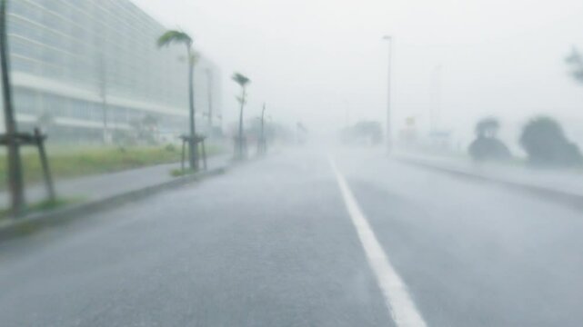 Driving In Fierce Wind And Whiteout Rain Of Hurricane - Khanun