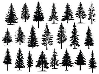 Obraz premium Pine Tree Silhouettes Collection – Vector Illustration of Woodland Trees, Nature Elements, and Outdoor Landscape