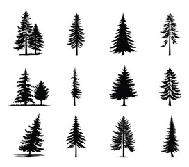 Obraz premium Pine Tree Silhouettes Collection – Vector Illustration of Woodland Trees, Nature Elements, and Outdoor Landscape