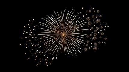 Perfect for parties and events, this golden fireworks show dazzles the audience.