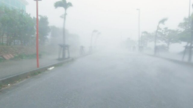 Driving In Fierce Wind And Blinding Rain Of Hurricane Eyewall - Khanun