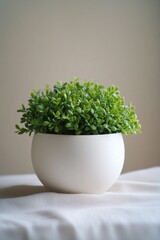 A small potted plant sitting in a white ceramic bowl on a table, great for use in interior design or home decor images