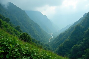 Obraz premium Misty mountainside blanketed with lush foliage, misty, earthy, landscape