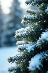 Snow-covered fir tree with frozen needles glistening, frosty evergreen, glistening snow